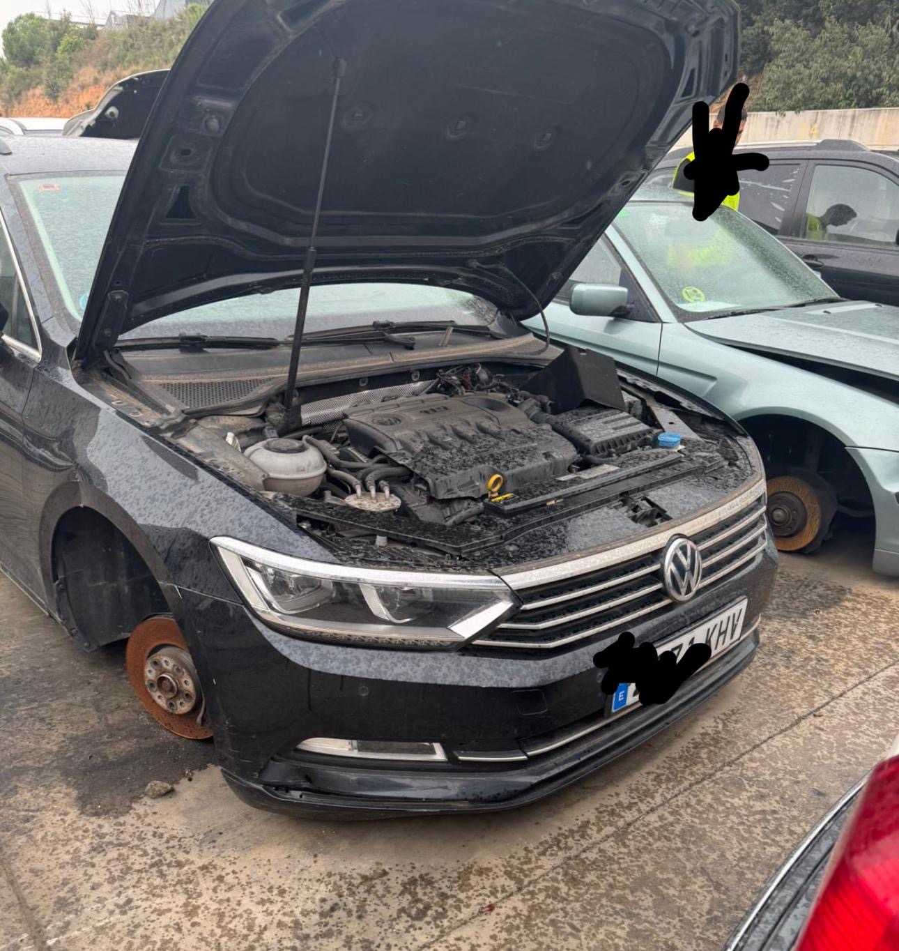 Passat 